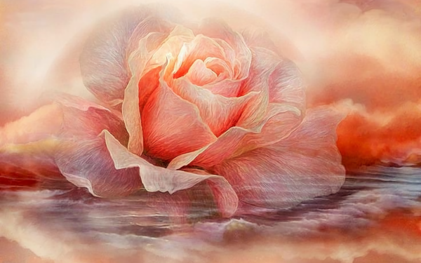 Artistic Rose Pink Cloud HD Wallpaper | Background Image