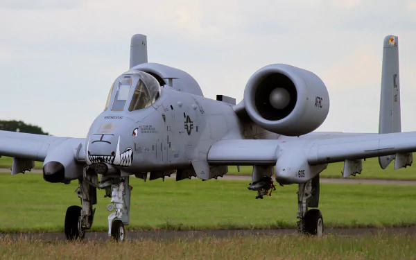Fairchild Republic A-10 Thunderbolt II jet fighter on grassy field, captured in a sharp 4K Ultra HD military aircraft desktop wallpaper.