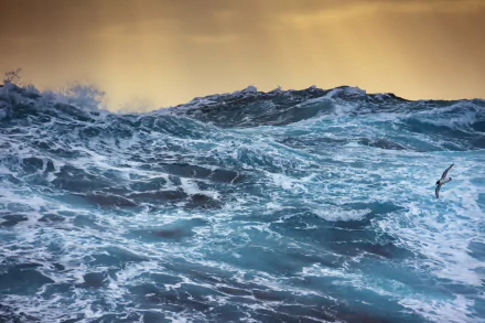 ocean nature wave Ocean Waves HD Desktop Wallpaper | Background Image