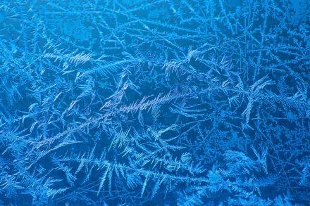 nature frost HD Desktop Wallpaper | Background Image