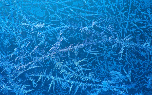 nature frost HD Desktop Wallpaper | Background Image
