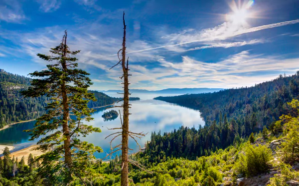 4K Ultra HD PC desktop wallpaper of Lake Tahoe, California, USA — forested shoreline, alpine lake, crisp blue sky and distant horizon.