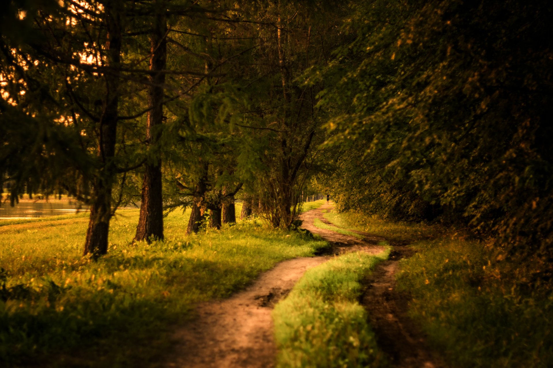 Nature scene: winding dirt path through trees at sunset along a grassy edge, warm golden light — 5K Ultra HD PC desktop wallpaper background.