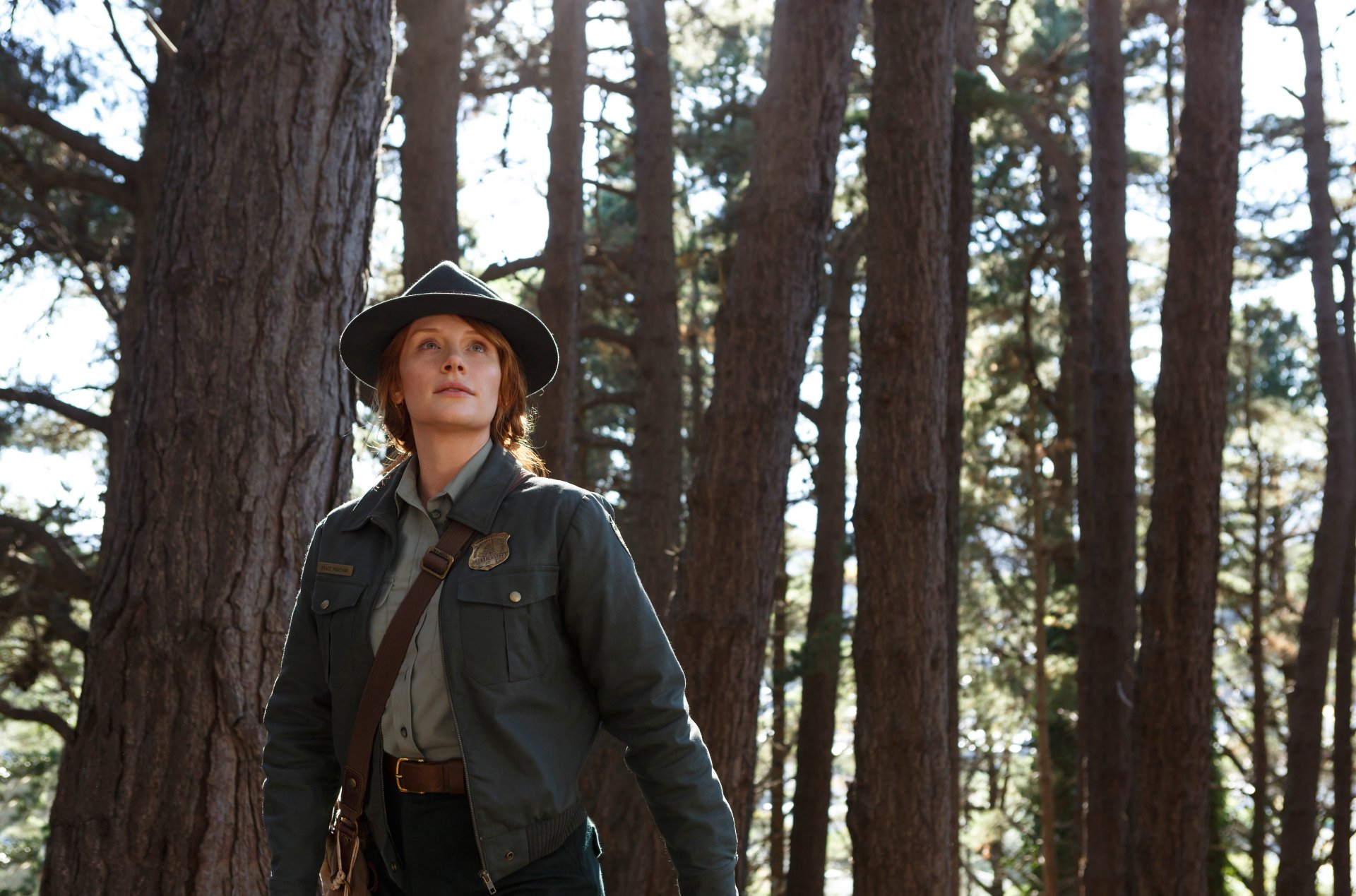 Bryce Dallas Howard as a ranger in the 2016 movie Pete's Dragon, shown in a forest setting. 4K Ultra HD PC Desktop Wallpaper and Background.