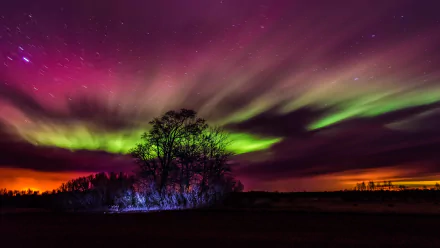 nature aurora borealis HD Desktop Wallpaper | Background Image