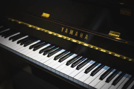 Close-up of a Yamaha piano keyboard, showcasing the elegant black and white keys, set against a dark background, in a striking 4K Ultra HD resolution for a dramatic musical atmosphere.