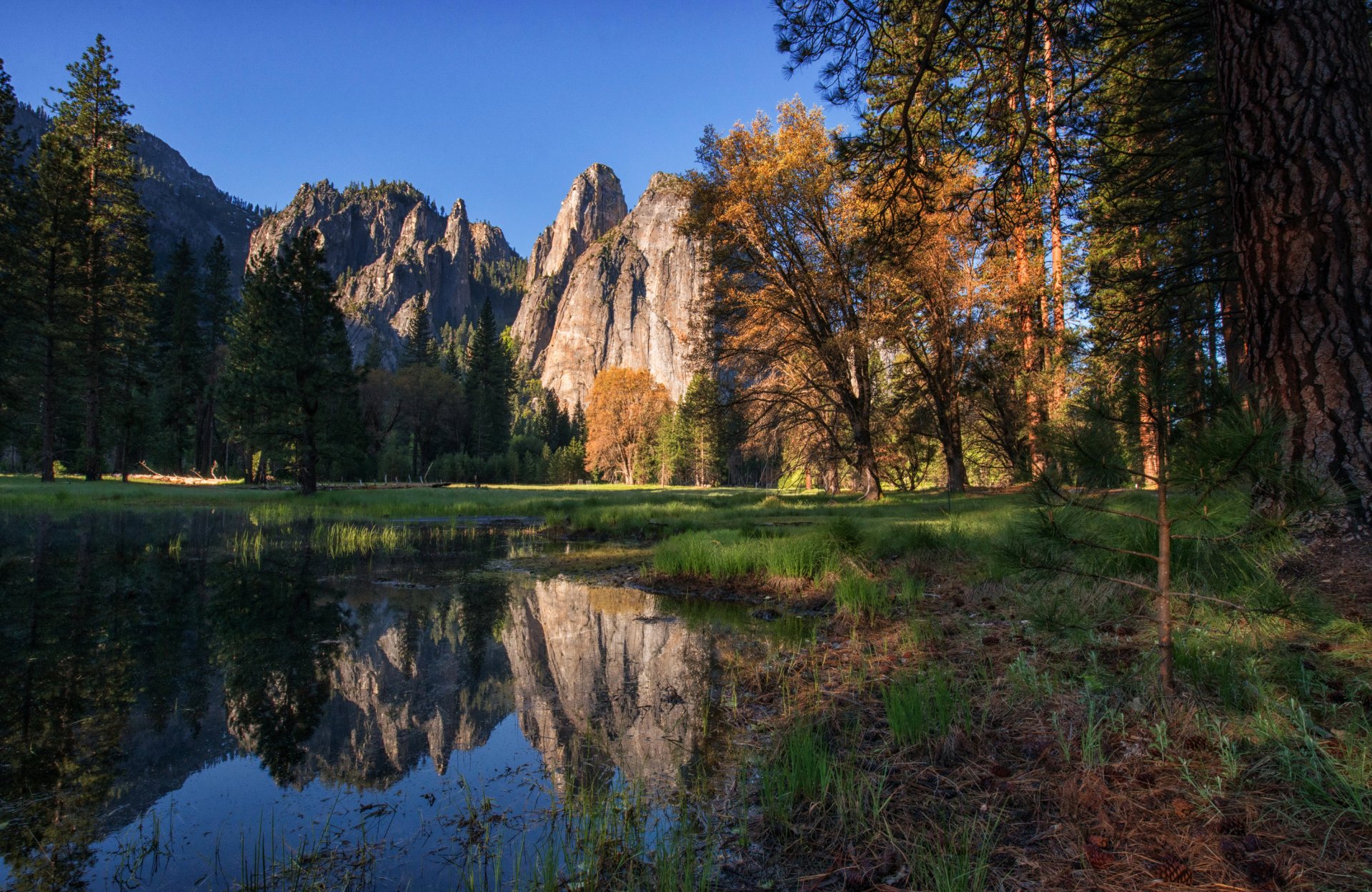Yosemite Reflection: Stunning Cliff and Forest Water Mirror in HD ...
