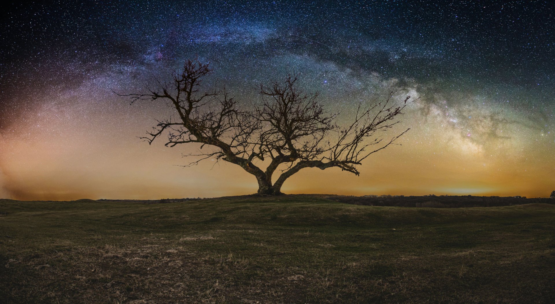 Lonely Tree Beneath the Starry Milky Way – HD Night Sky Wallpaper ...