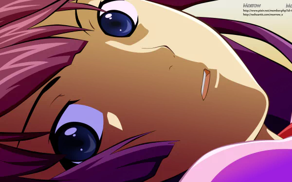 HD PC desktop wallpaper featuring Hitagi Senjōgahara from the anime Bakemonogatari, part of the Monogatari series, shown in a close-up, colorful anime style.