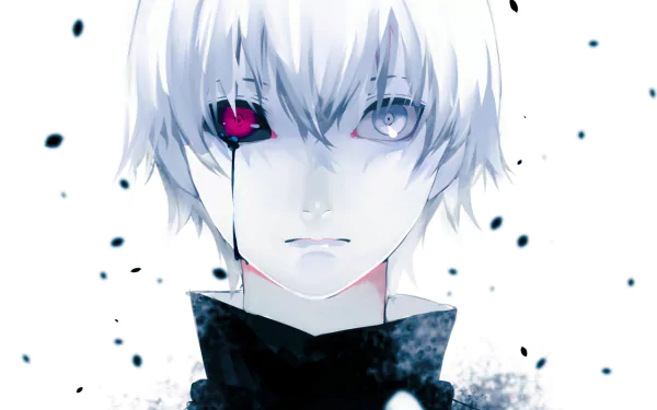 Anime character Ken Kaneki from Tokyo Ghoul with white hair, tears, and heterochromia in an HD desktop wallpaper and background.