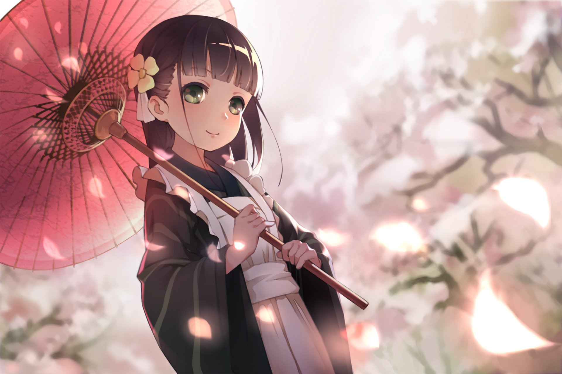 HD anime desktop wallpaper featuring a character from Is the Order a Rabbit holding a traditional parasol amidst soft pink cherry blossoms.