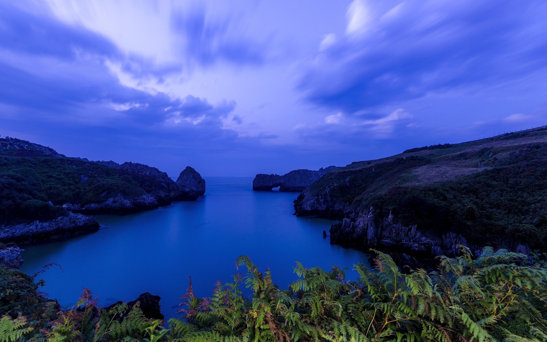 Download Horizon Fern Tree Coastline Blue Nature Seascape HD Wallpaper ...