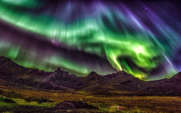 Earth Aurora Borealis Nature Night Light Sky Starry Sky HD Wallpaper | Background Image