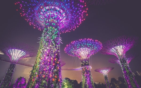Man Made Marina Bay Sands Singapore Tree Light Night HD Wallpaper | Background Image