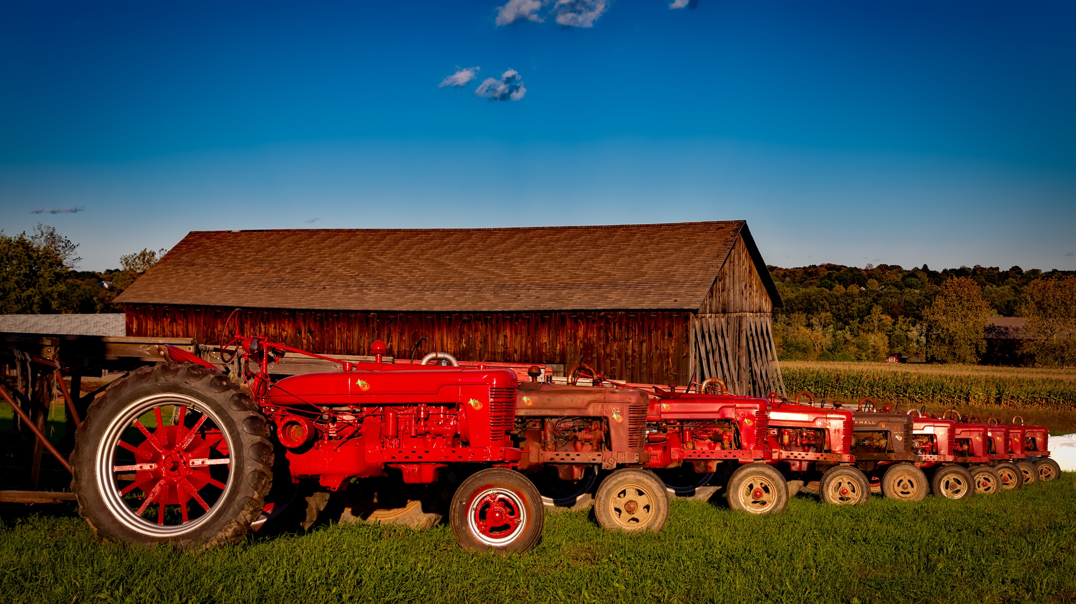 Bright red Farmall tractors by 12019