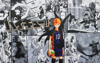 215 Haikyu Hd Wallpapers Background Images Wallpaper Abyss