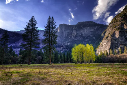 A scenic view of Yosemite National Park showcasing towering mountains, vibrant trees, and a clear sky, capturing the natural beauty of California. 4K Ultra HD wallpaper.