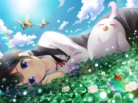 HD anime desktop wallpaper featuring a character from Tamako Market lying in a field of clover with a white bird and butterflies under a bright blue sky.