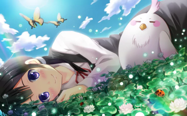 HD anime desktop wallpaper featuring a character from Tamako Market lying in a field of clover with a white bird and butterflies under a bright blue sky.