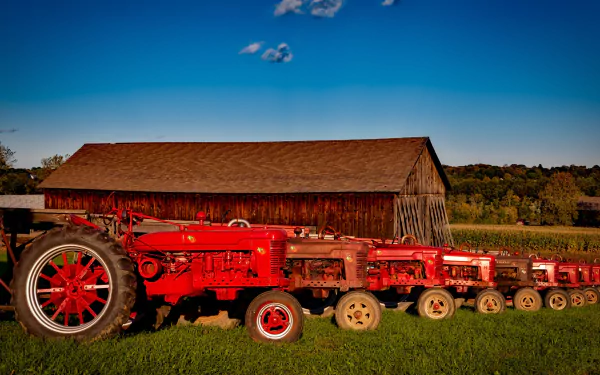  Bright red Farmall tractors by 12019
