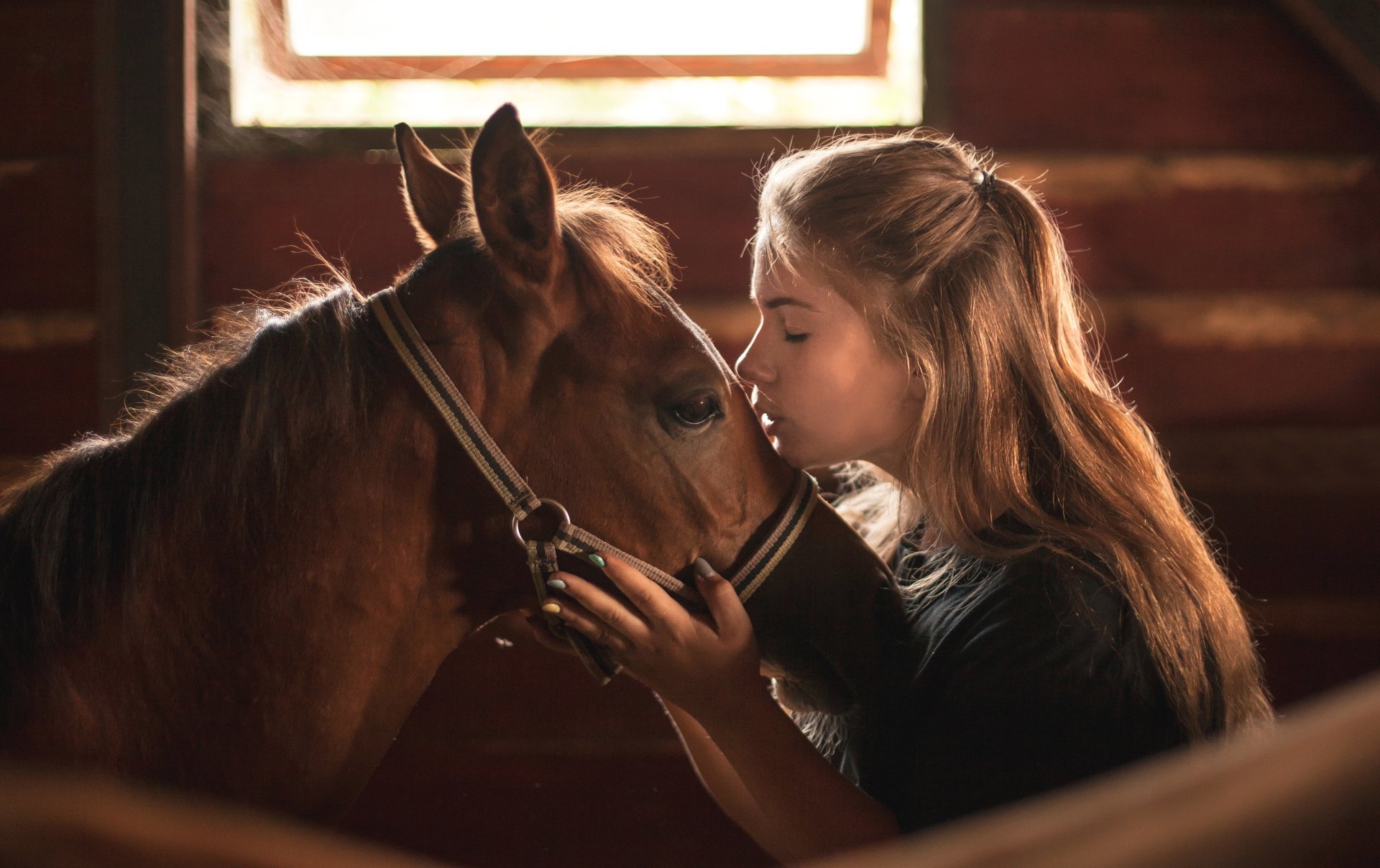 A blonde woman kisses a horse in a warm, inviting stable, capturing a tender moment of connection. This serene scene makes for a stunning 4K Ultra HD desktop wallpaper.