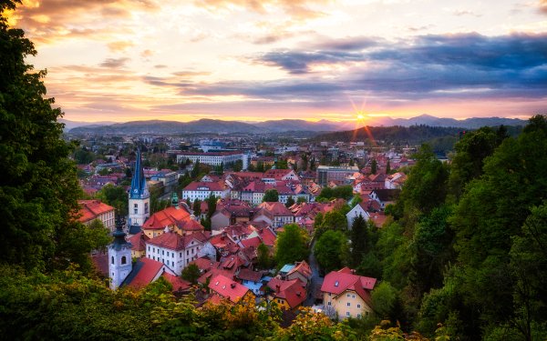 Man Made Town Towns Slovenia House Forest Tree Green HD Wallpaper | Background Image