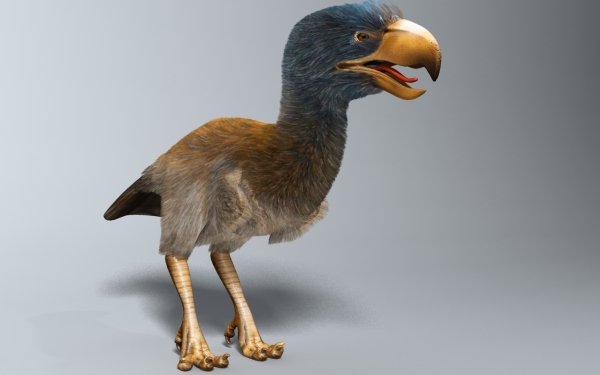 Animal CGI Bird Extinct Creature HD Wallpaper | Background Image