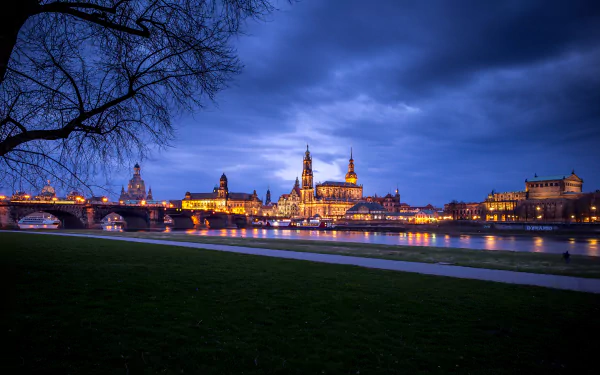 Night view of illuminated Dresden cityscape with historic buildings along the river, grassy riverbank in foreground, captured in 4K Ultra HD.
