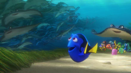 Mr. Ray (Finding Nemo) Dory (Finding Nemo) movie Finding Dory HD Desktop Wallpaper | Background Image