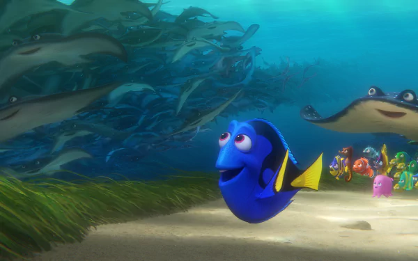 Mr. Ray (Finding Nemo) Dory (Finding Nemo) movie Finding Dory HD Desktop Wallpaper | Background Image