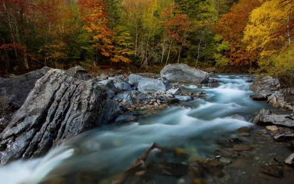 HD PC desktop wallpaper/background: foam-laced river rushing over a rocky bed through autumn nature, vibrant orange and yellow foliage along stone banks.