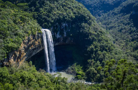 Aerial view of Caracol Falls in Brazil: tall waterfall plunging into a lush forested canyon, 2K Quad HD PC desktop wallpaper background.
