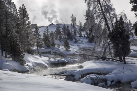 A serene winter landscape in Yellowstone, Wyoming, showcasing a snowy river winding through the wilderness, framed by tall trees and steam rising from the distant hills.