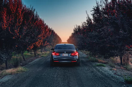 A sleek BMW M3 parked on a gravel road, surrounded by trees with vibrant autumn foliage, under a serene sunset sky. Great HD desktop wallpaper.
