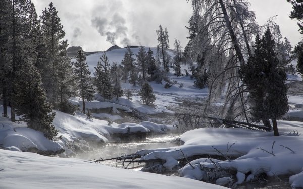 Earth Yellowstone National Park National Park Yellowstone Wyoming Winter Tree Landscape Snow Wilderness River Nature HD Wallpaper | Background Image