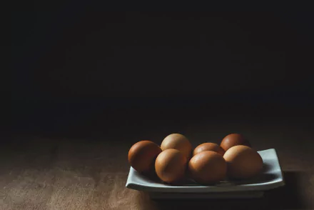 food egg HD Desktop Wallpaper | Background Image