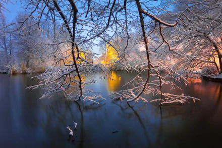 A serene winter landscape featuring snow-covered branches over a frozen lake with soft glowing lights, captured in HD as a desktop wallpaper and background.