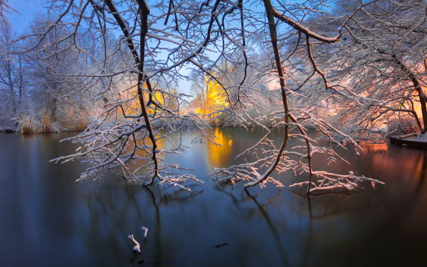 A serene winter landscape featuring snow-covered branches over a frozen lake with soft glowing lights, captured in HD as a desktop wallpaper and background.