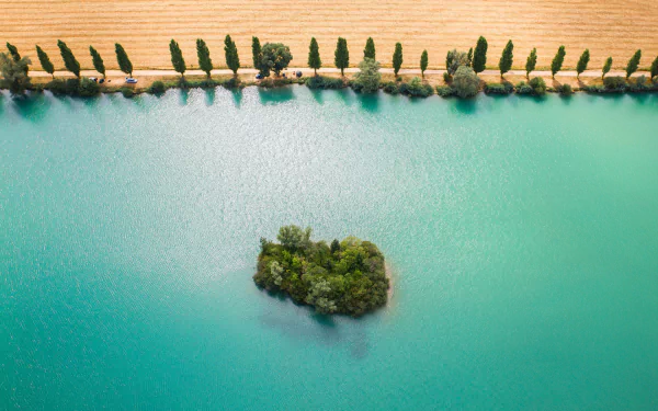 A serene HD desktop wallpaper showing a small island in a turquoise river, bordered by a golden field and a row of evenly spaced trees.