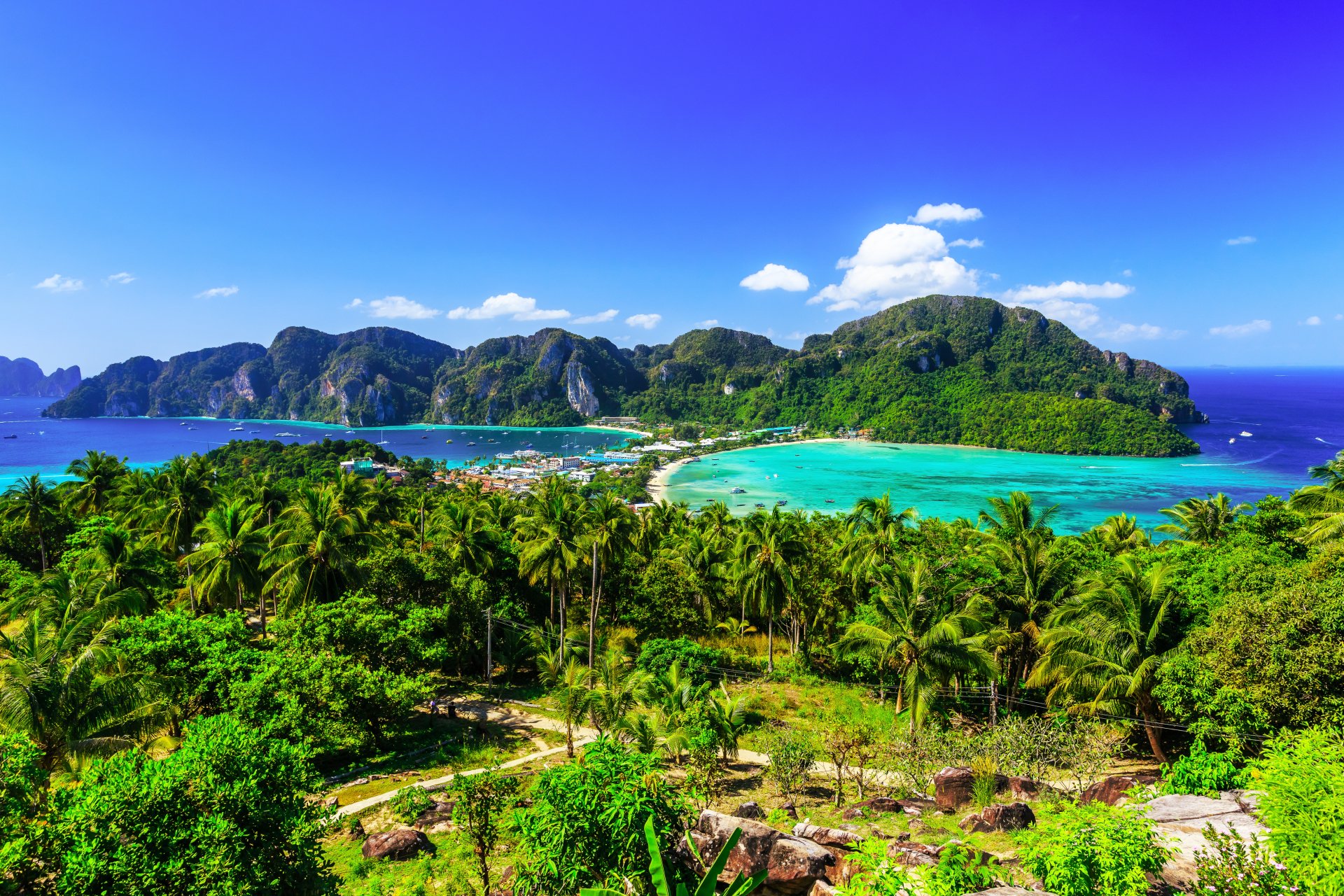 Download Palm Tree Turquoise Ocean Thailand Nature Seascape 4k Ultra HD ...