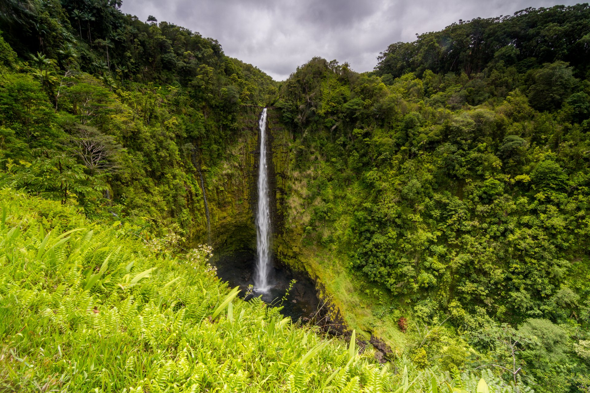 Nature Waterfall 4k Ultra HD Wallpaper