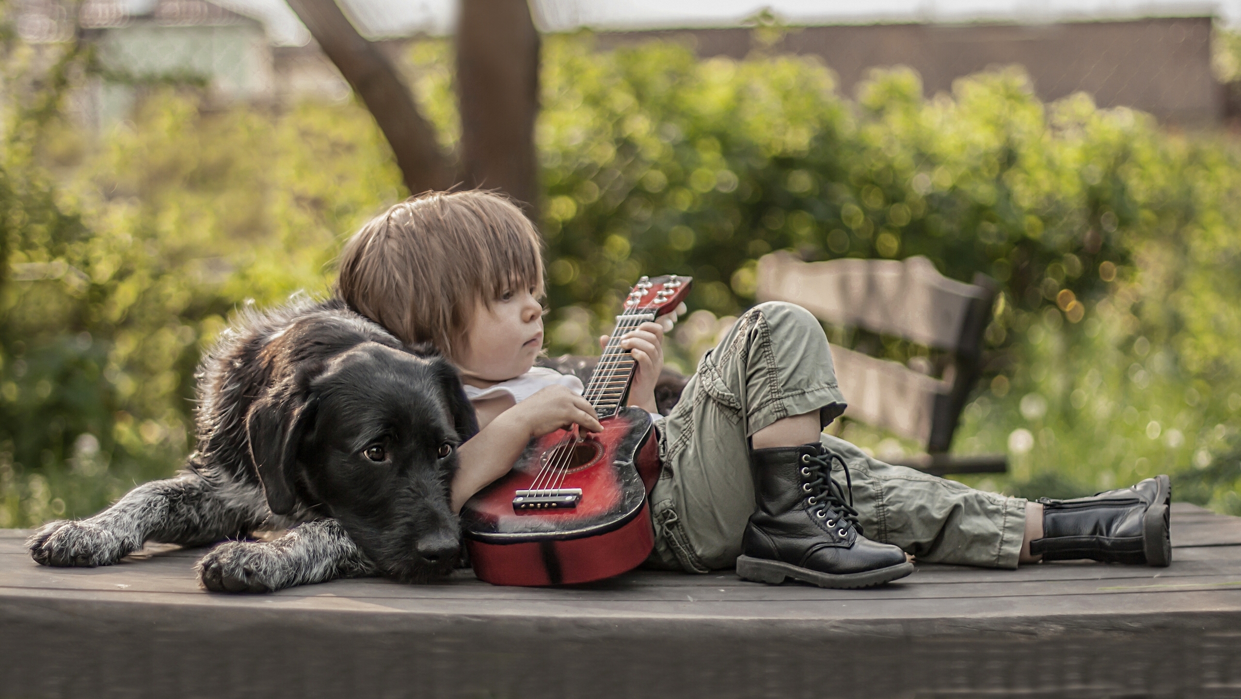 A Little Boy and His Dog by Agnieszka Gulczyńska