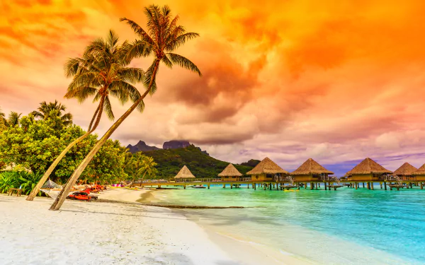 Tropical beach scene with palm trees, sandy shore, thatched huts over clear water, vibrant orange sky, captured in 4K Ultra HD for a stunning holiday backdrop.