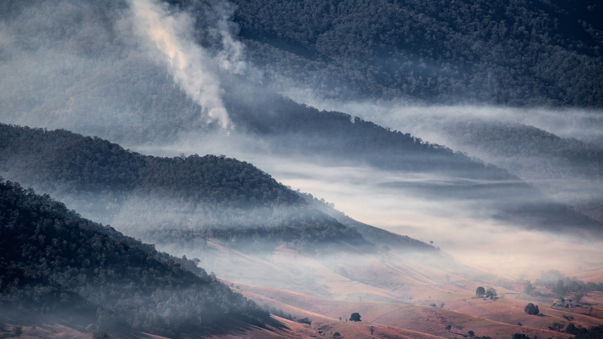 Download Mountain Landscape Forest Nature Fog HD Wallpaper by Duncan Fawkes