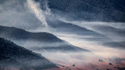 mountain landscape forest nature fog HD Desktop Wallpaper | Background Image
