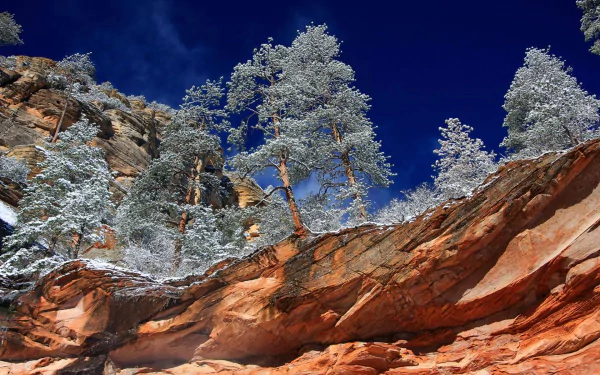  Winter at Oak Creek Canyon in Sedona, Arizona