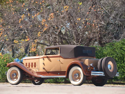 Vintage 1931 Packard Deluxe Eight Convertible Victoria parked outdoors with autumn trees in the background, captured in HD quality for a desktop wallpaper.