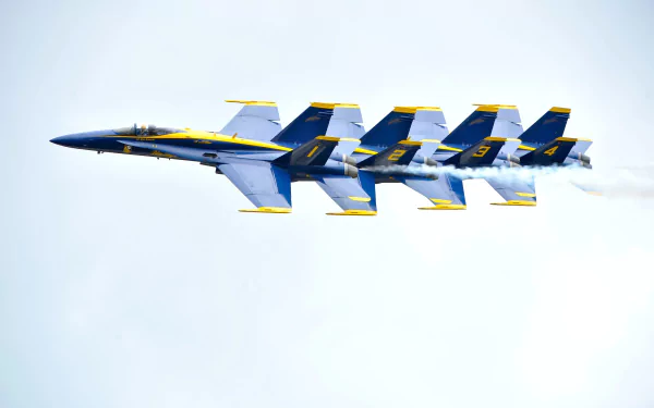 A formation of five McDonnell Douglas F/A-18 Hornet jet fighters from the Navy's Blue Angels performing an air show maneuver against a clear sky.