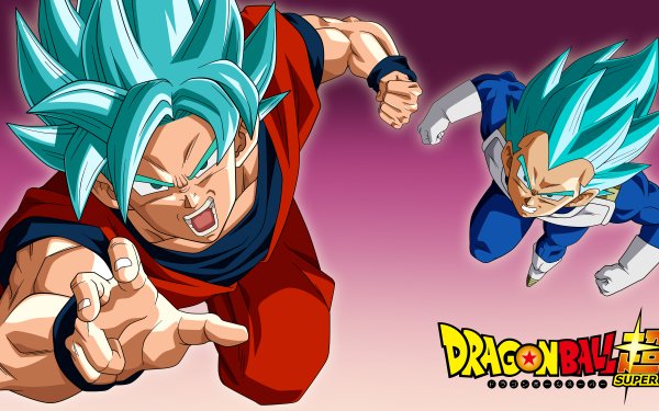 Anime Dragon Ball Super Dragon Ball Goku Vegeta SSGSS Goku SSGSS Vegeta HD Wallpaper | Background Image