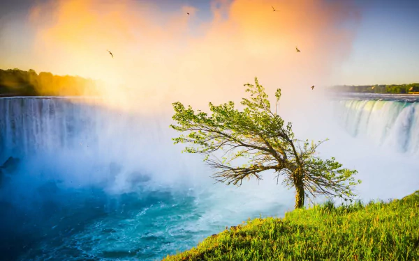 A solitary tree stands on lush grass beside a powerful waterfall, framed by a stunning sunset and birds in the sky, capturing the beauty of nature in this HD wallpaper.